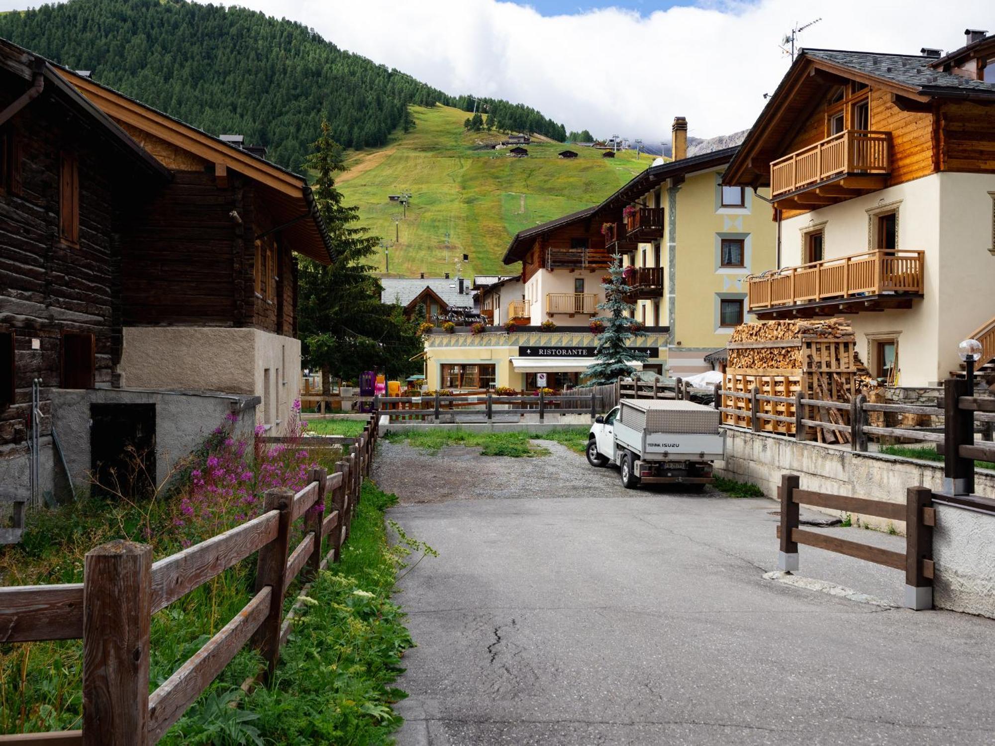 Irene Livigno